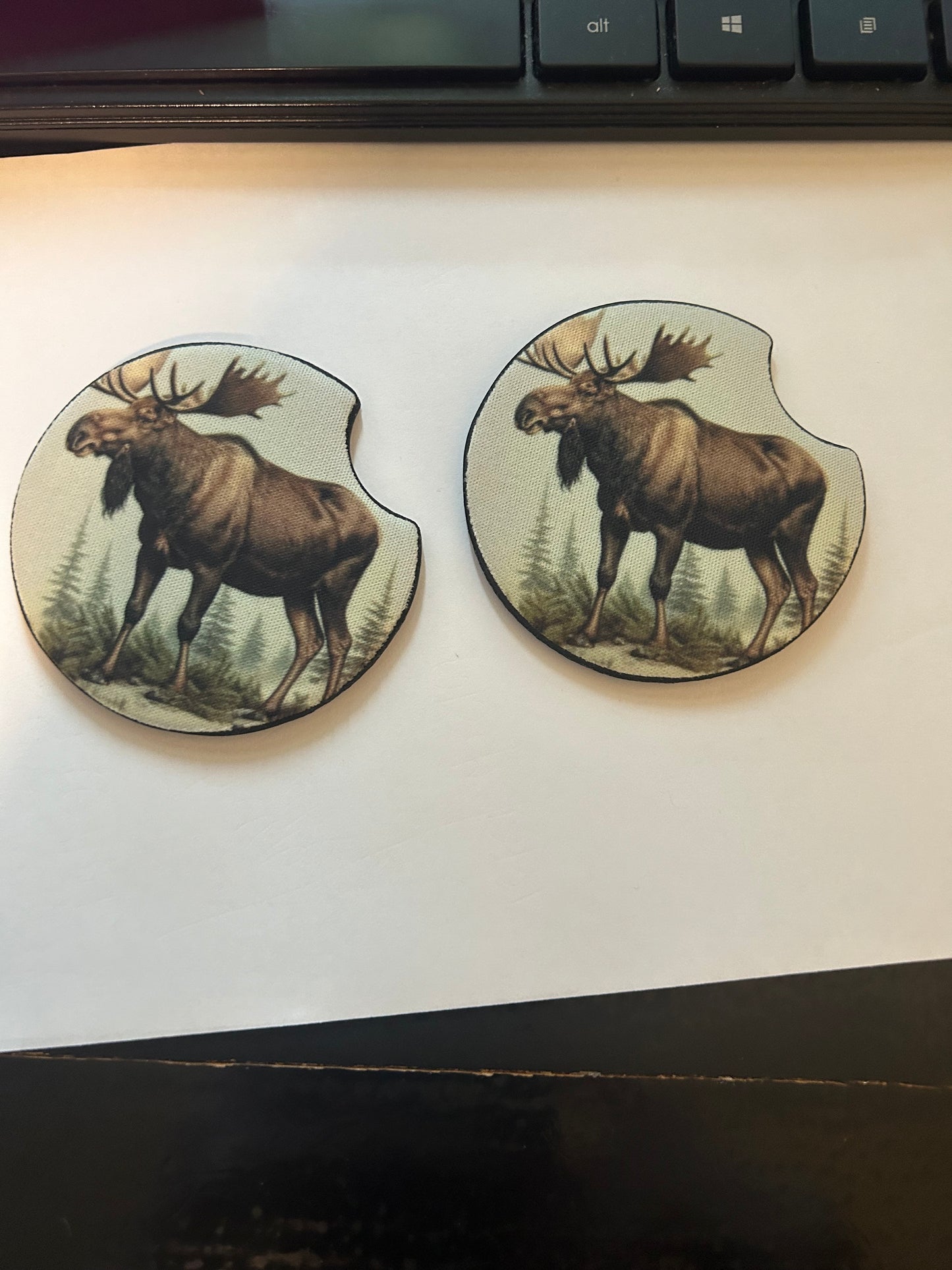 Moose Coaster